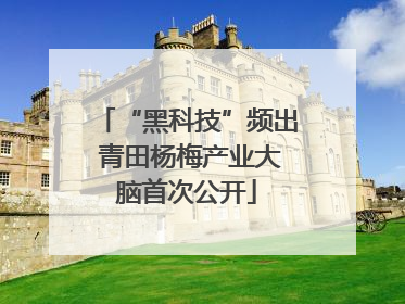 “黑科技”频出 青田杨梅产业大脑首次公开