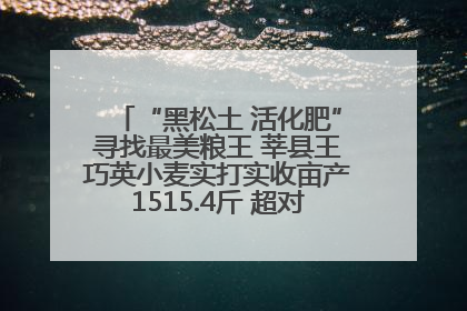 “黑松土 活化肥”寻找最美粮王 莘县王巧英小麦实打实收亩产1515.4斤 超对照田144斤！