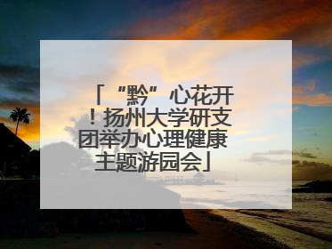 “黔”心花开！扬州大学研支团举办心理健康主题游园会