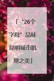 “26个字母”品味昆明城市肌理之美