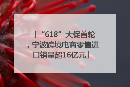 “618”大促首轮，宁波跨境电商零售进口销量超16亿元
