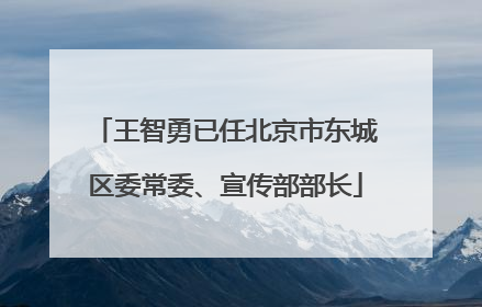王智勇已任北京市东城区委常委、宣传部部长