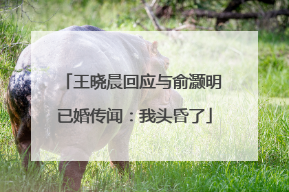 王晓晨回应与俞灏明已婚传闻：我头昏了