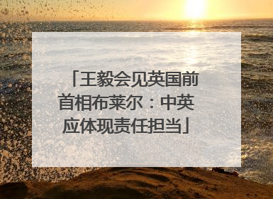 王毅会见英国前首相布莱尔：中英应体现责任担当