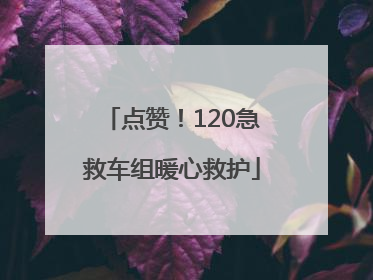 点赞！120急救车组暖心救护