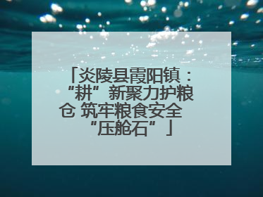 炎陵县霞阳镇：“耕”新聚力护粮仓 筑牢粮食安全“压舱石”