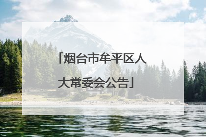 烟台市牟平区人大常委会公告