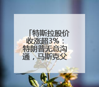 特斯拉股价收涨超3%：特朗普无意沟通，马斯克父亲劝儿子低头