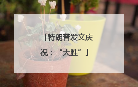 特朗普发文庆祝：“大胜”