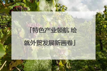 特色产业领航 绘就外贸发展新画卷