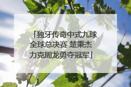 独牙传奇中式九球全球总决赛 楚秉杰力克周龙勇夺冠军