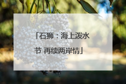 石狮：海上泼水节 再续两岸情