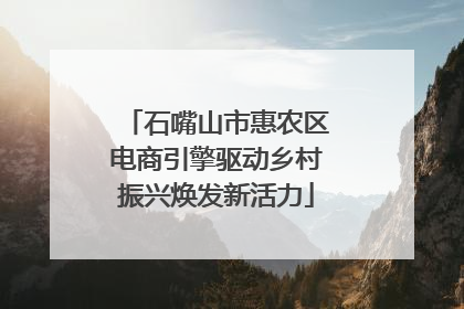 石嘴山市惠农区电商引擎驱动乡村振兴焕发新活力