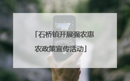 石桥镇开展强农惠农政策宣传活动