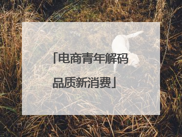 电商青年解码品质新消费