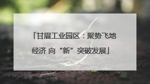 甘眉工业园区：聚势飞地经济 向“新”突破发展