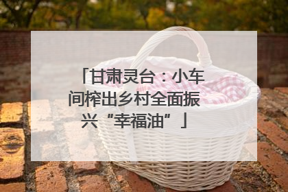 甘肃灵台：小车间榨出乡村全面振兴“幸福油”
