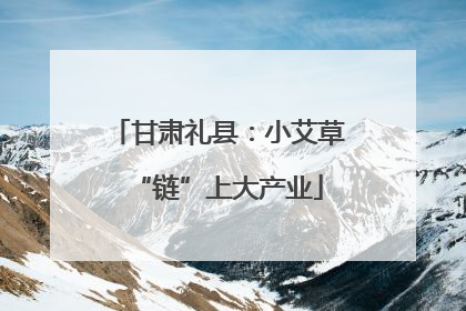 甘肃礼县：小艾草“链”上大产业