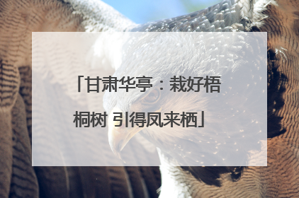 甘肃华亭：栽好梧桐树 引得凤来栖