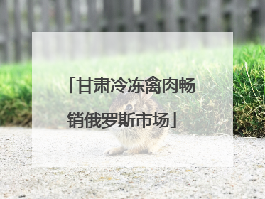 甘肃冷冻禽肉畅销俄罗斯市场