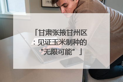 甘肃张掖甘州区：见证玉米制种的“无限可能”