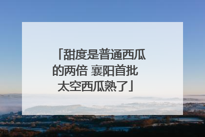 甜度是普通西瓜的两倍 襄阳首批太空西瓜熟了