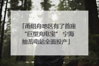 甬绍舟地区有了首座“巨型充电宝” 宁海抽蓄电站全面投产