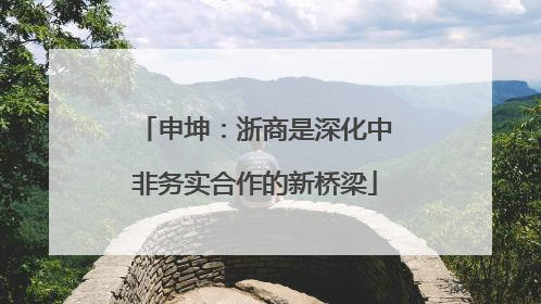 申坤：浙商是深化中非务实合作的新桥梁