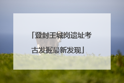 登封王城岗遗址考古发掘最新发现