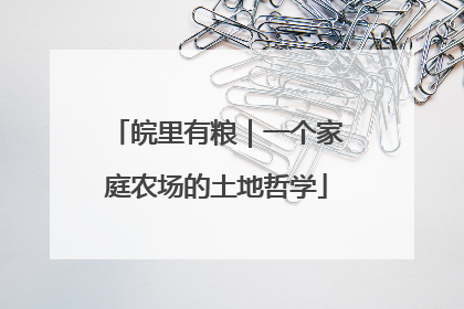 皖里有粮｜一个家庭农场的土地哲学
