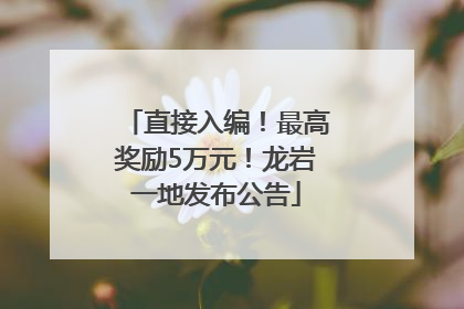 直接入编！最高奖励5万元！龙岩一地发布公告