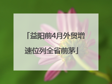 益阳前4月外贸增速位列全省前茅