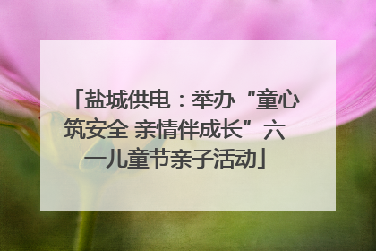 盐城供电：举办“童心筑安全 亲情伴成长”六一儿童节亲子活动