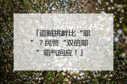 盗贼挑衅比“耶”？民警“双倍耶”霸气回应！