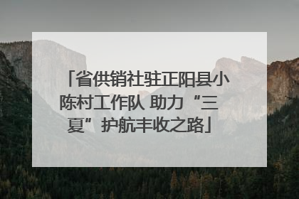 省供销社驻正阳县小陈村工作队 助力“三夏”护航丰收之路