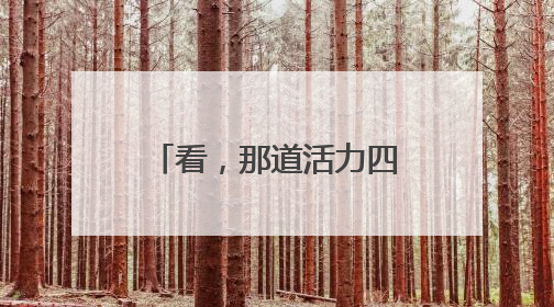 看，那道活力四射的风“警”线