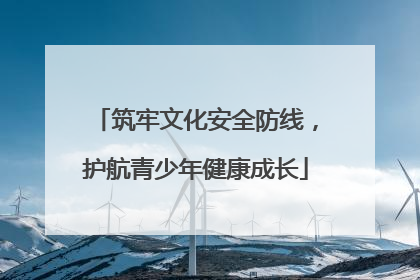 筑牢文化安全防线，护航青少年健康成长