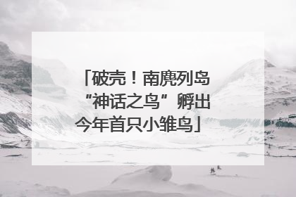 破壳！南麂列岛“神话之鸟”孵出今年首只小雏鸟