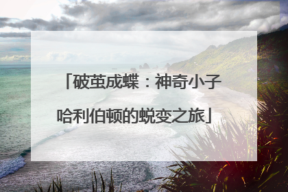 破茧成蝶：神奇小子哈利伯顿的蜕变之旅
