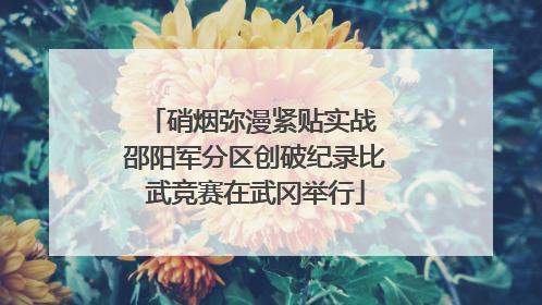 硝烟弥漫紧贴实战 邵阳军分区创破纪录比武竞赛在武冈举行