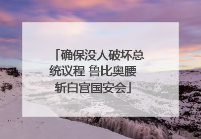 确保没人破坏总统议程 鲁比奥腰斩白宫国安会