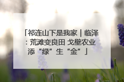 祁连山下是我家｜临泽：荒滩变良田 戈壁农业添“绿”生“金”