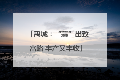 禹城：“蒜”出致富路 丰产又丰收