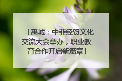 禹城：中菲经贸文化交流大会举办，职业教育合作开启新篇章