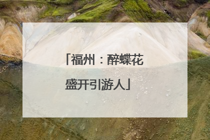 福州：醉蝶花盛开引游人