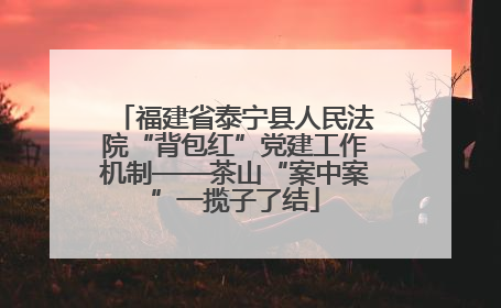福建省泰宁县人民法院“背包红”党建工作机制——茶山“案中案”一揽子了结