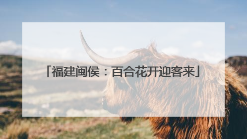 福建闽侯：百合花开迎客来