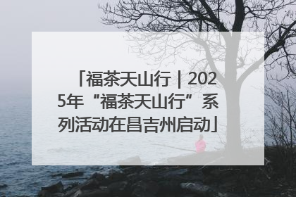 福茶天山行｜2025年“福茶天山行”系列活动在昌吉州启动