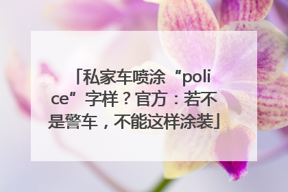 私家车喷涂“police”字样？官方：若不是警车，不能这样涂装