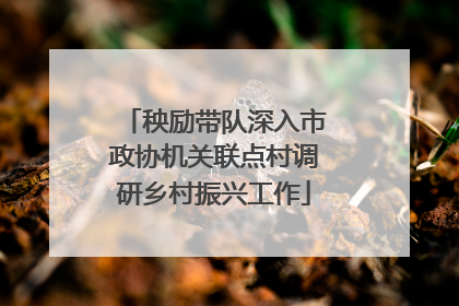秧励带队深入市政协机关联点村调研乡村振兴工作